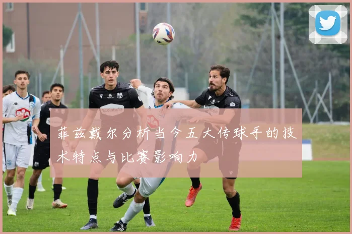菲兹戴尔分析当今五大传球手的技术特点与比赛影响力
